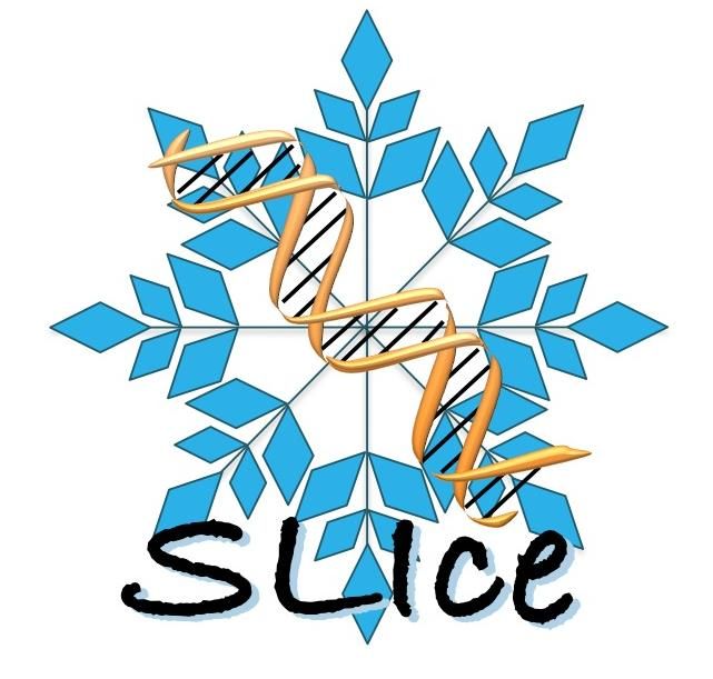 SLIce logo